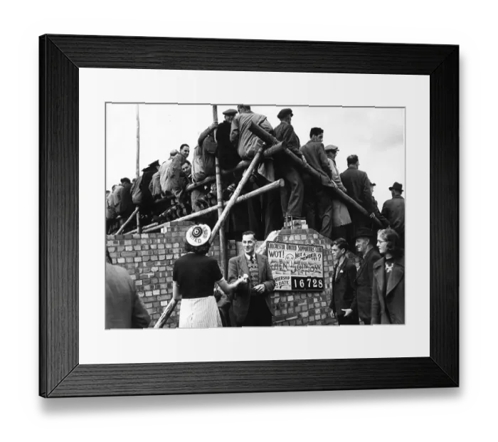 Framed Print : Penny On The Ball Framed Print : Penny On The Ball