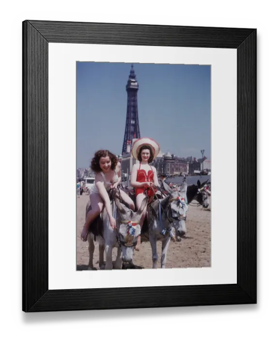 Framed Print : Donkey Rides At Blackpool