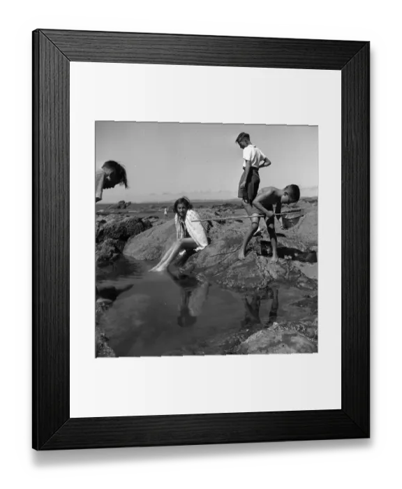 Framed Print : Rock Pool Fun Framed Print : Rock Pool Fun