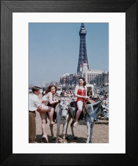 Framed Print : Donkeys Rides Framed Print : Donkeys Rides