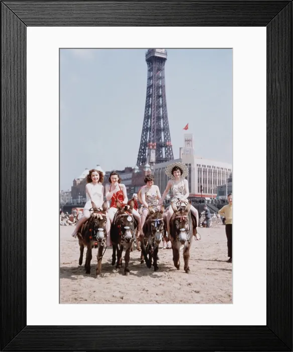 Framed Print : Blackpool Donkeys Framed Print : Blackpool Donkeys