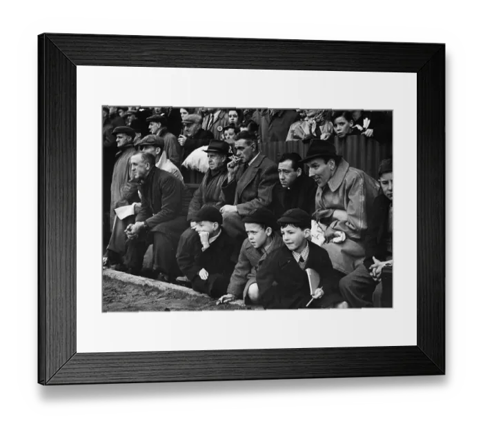 Framed Print : Rugby Fans Framed Print : Rugby Fans