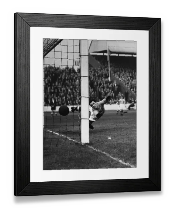 Framed Print : In The Net Framed Print : In The Net