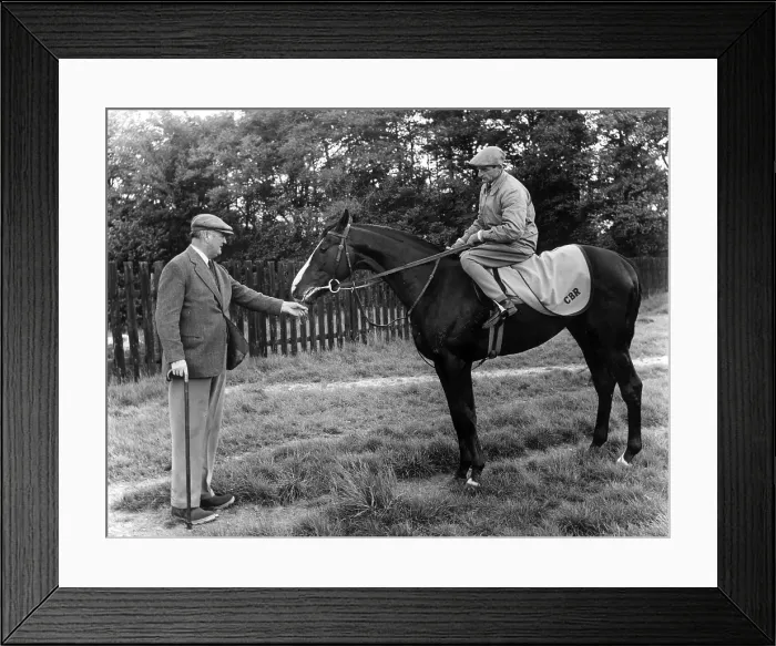 Framed Print : Queen's Horse Framed Print : Queen's Horse