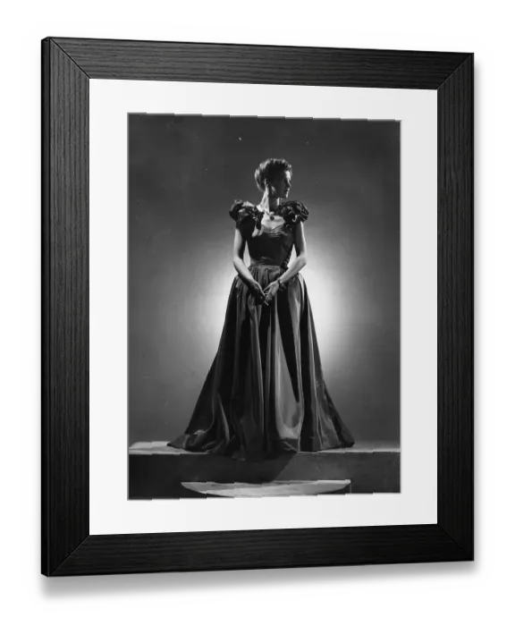 Framed Print : Evening Gown Framed Print : Evening Gown