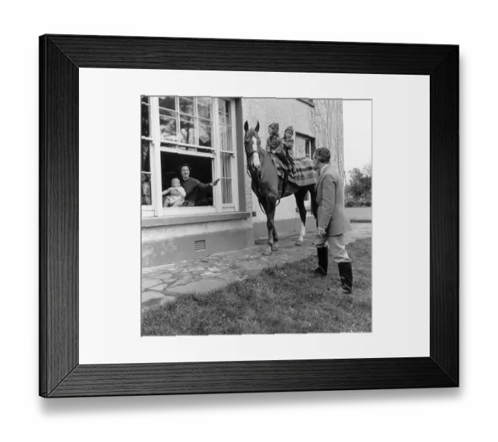 Framed Print : Horse In The Family Framed Print : Horse In The Family