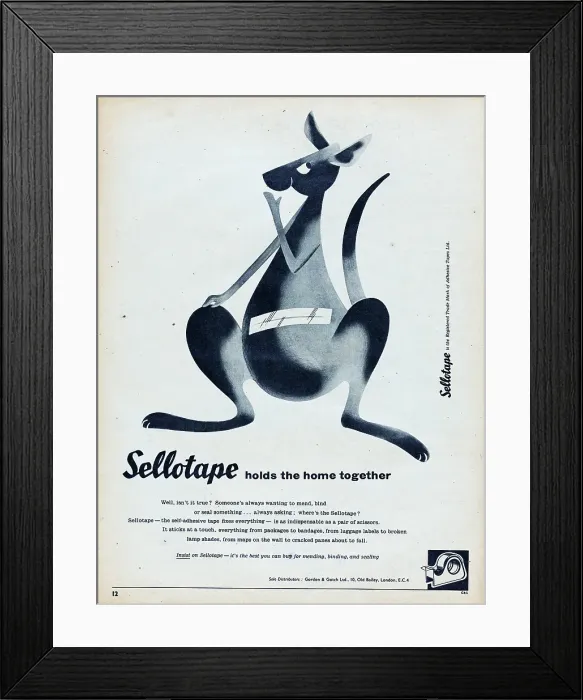 Framed Print : Sellotape. 1957: A kangaroo with its pouch closed with adhesive tape for Framed Print : Sellotape. 1957: A kangaroo with its pouch closed with adhesive tape for