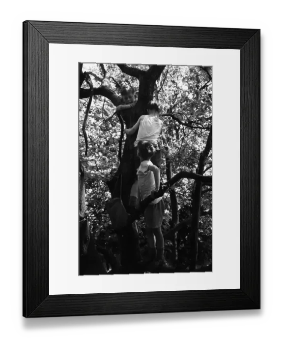 Framed Print : Reaching The Top Framed Print : Reaching The Top