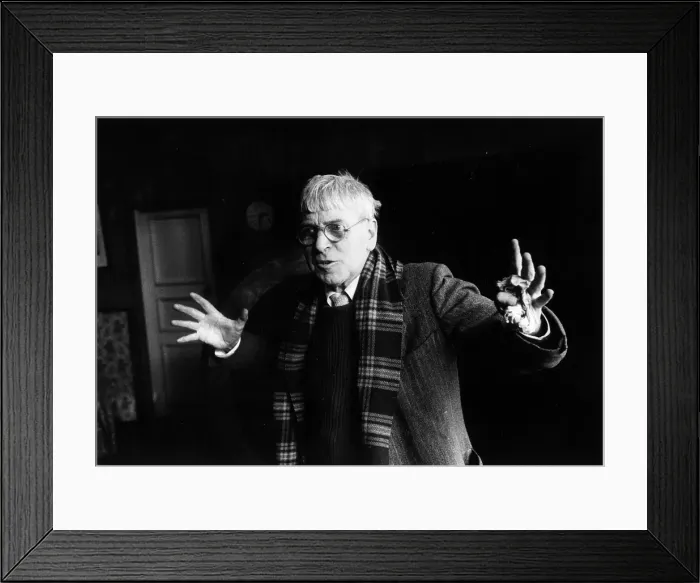 Framed Print : Like This ! Framed Print : Like This !