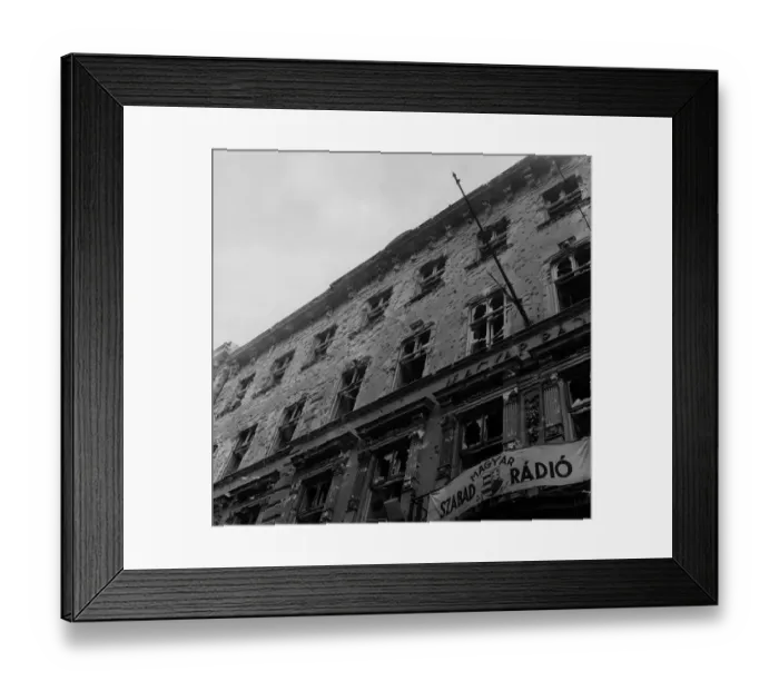Framed Print : Free Speech Framed Print : Free Speech