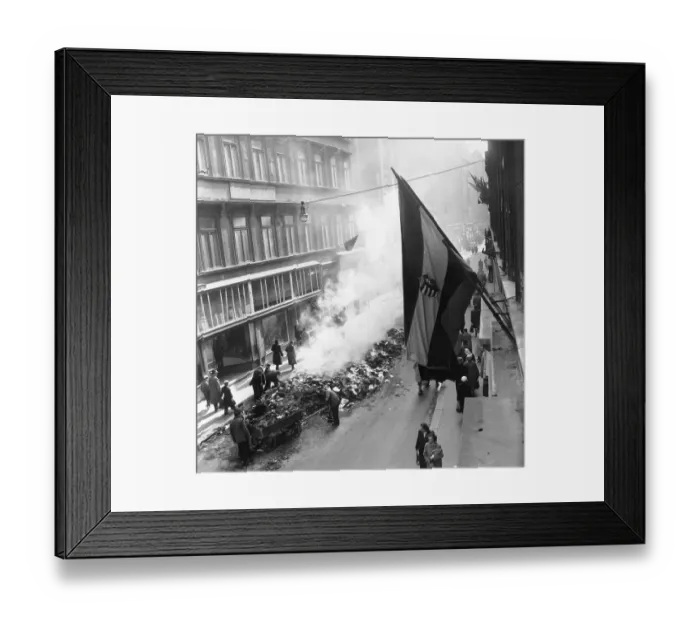 Framed Print : Freedom Fight Framed Print : Freedom Fight