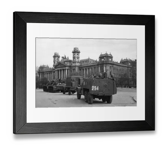 Framed Print : Hungarian Uprising Framed Print : Hungarian Uprising