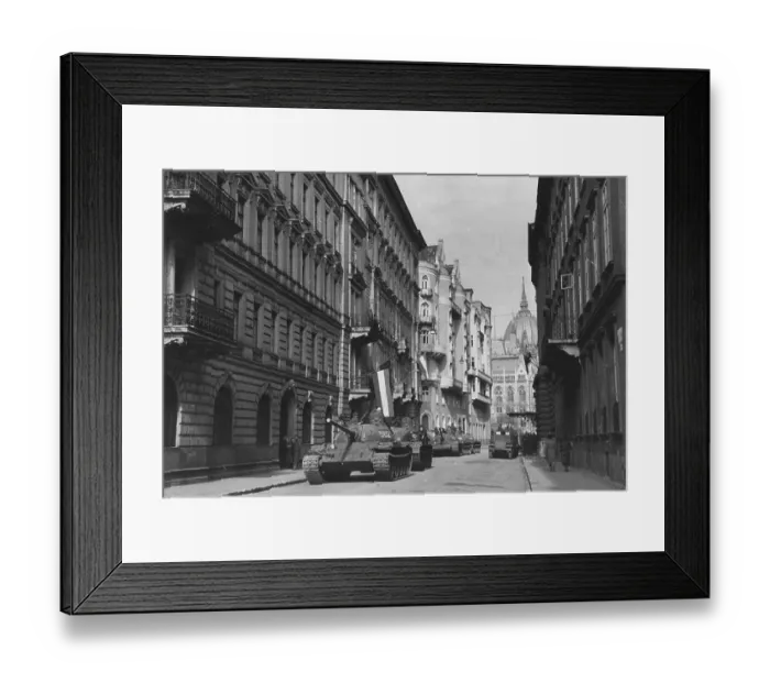 Framed Print : Budapest Invaded Framed Print : Budapest Invaded