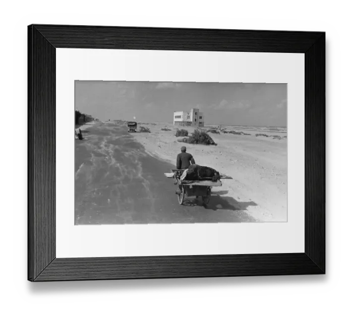 Framed Print : Port Said Seafront Framed Print : Port Said Seafront
