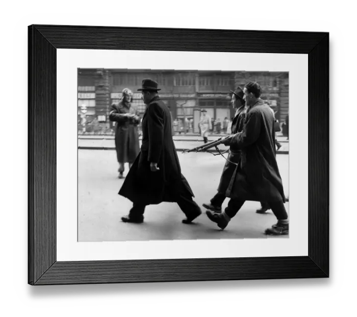 Framed Print : Question Time Framed Print : Question Time