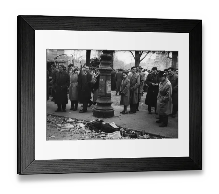 Framed Print : Hungarian Revolt Framed Print : Hungarian Revolt