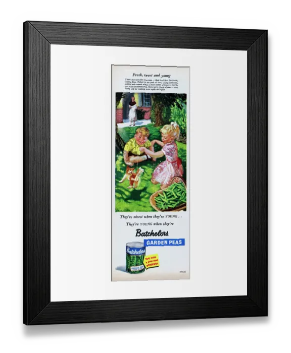 Framed Print : Batchelors Garden Peas Framed Print : Batchelors Garden Peas