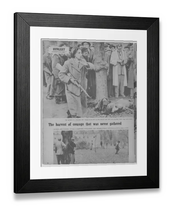 Framed Print : Hungarian Uprising Framed Print : Hungarian Uprising