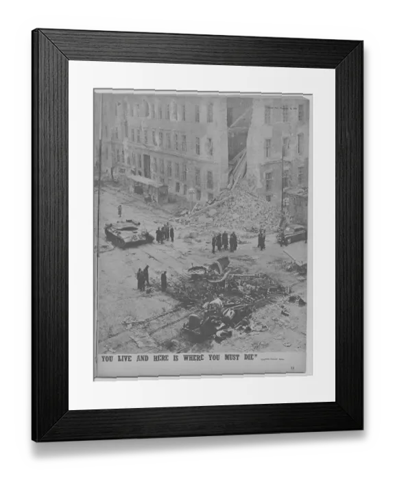Framed Print : Hungarian Uprising Framed Print : Hungarian Uprising