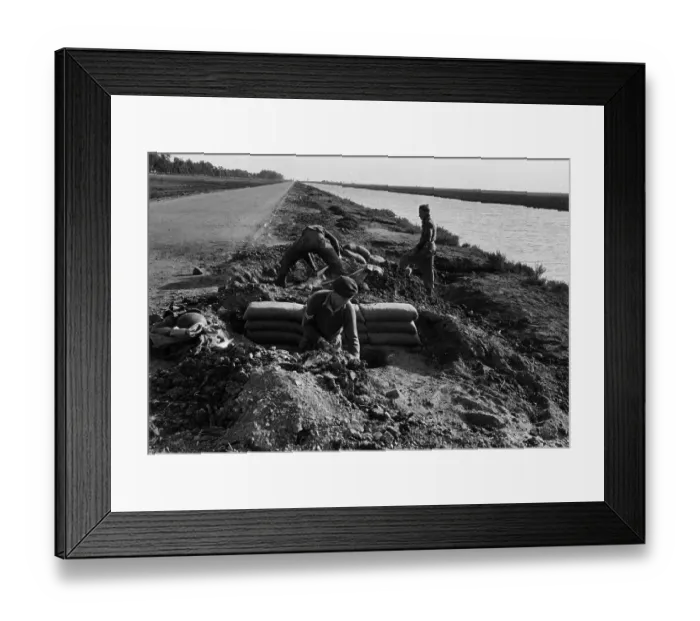 Framed Print : Digging In Framed Print : Digging In