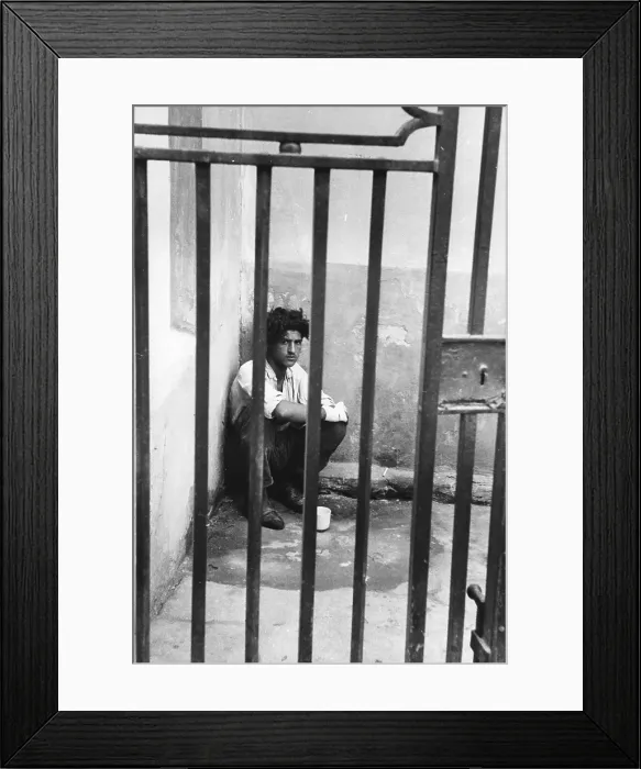 Framed Print : Behind Bars Framed Print : Behind Bars