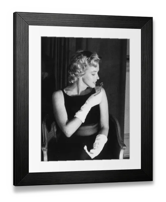 Framed Print : Sweet Smelling Framed Print : Sweet Smelling