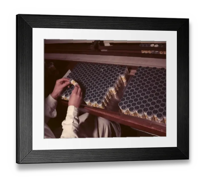 Framed Print : Antibiotics Bottling Framed Print : Antibiotics Bottling