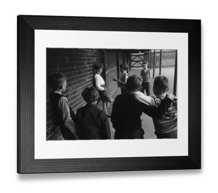 Framed Print : Looking For A Fight Framed Print : Looking For A Fight
