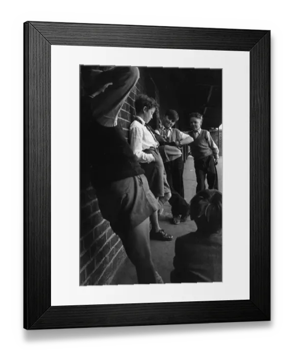 Framed Print : School Bullies Framed Print : School Bullies