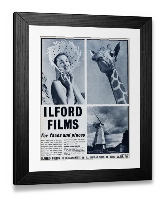 Framed Print : Ilford Films Framed Print : Ilford Films
