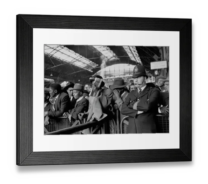 Framed Print : Shy Arrivals Framed Print : Shy Arrivals