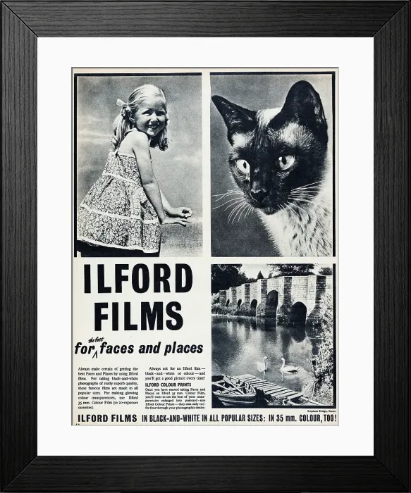 Framed Print : Ilford Films Framed Print : Ilford Films