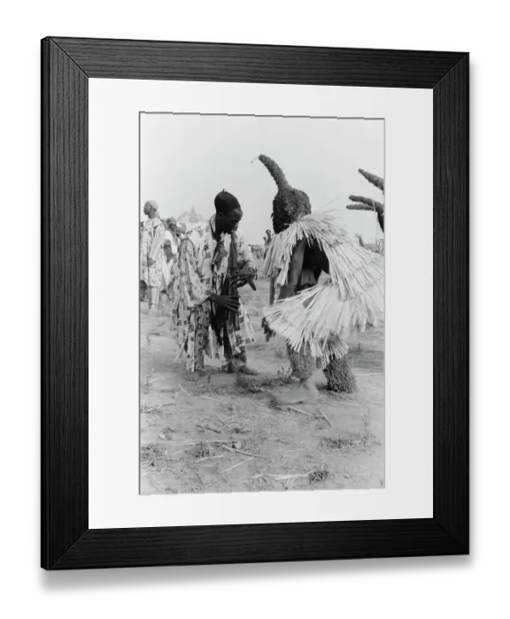 Framed Print : Royal Peformance Framed Print : Royal Peformance