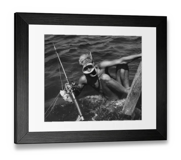 Framed Print : Going Under Framed Print : Going Under