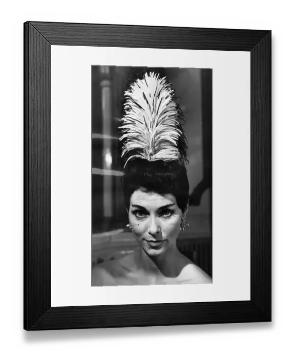Framed Print : Feather Headdress Framed Print : Feather Headdress