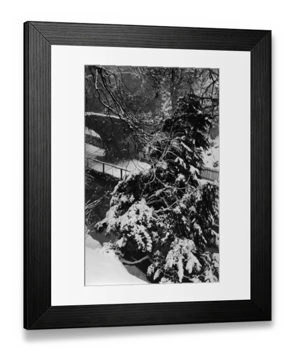 Framed Print : Snow Scene Framed Print : Snow Scene