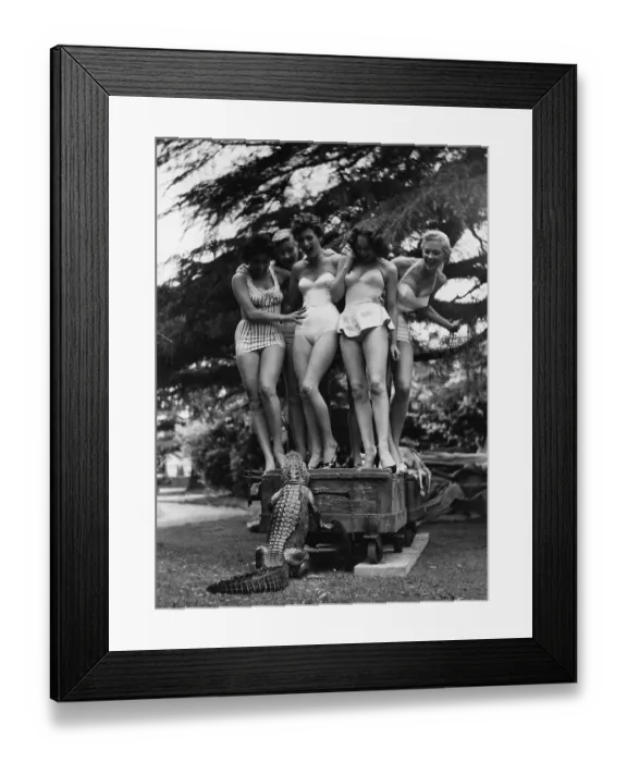 Framed Print : Alligator Terror Framed Print : Alligator Terror