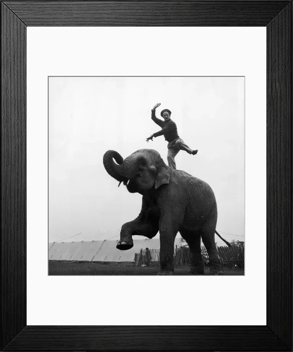 Framed Print : Balancing Act Framed Print : Balancing Act