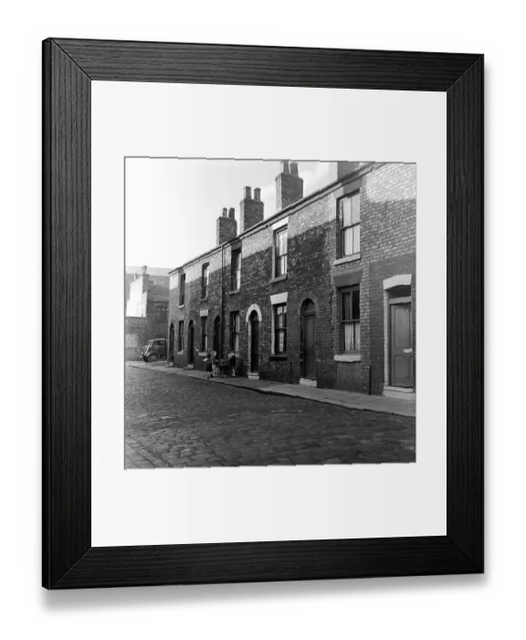 Framed Print : The Housing Jungle Framed Print : The Housing Jungle