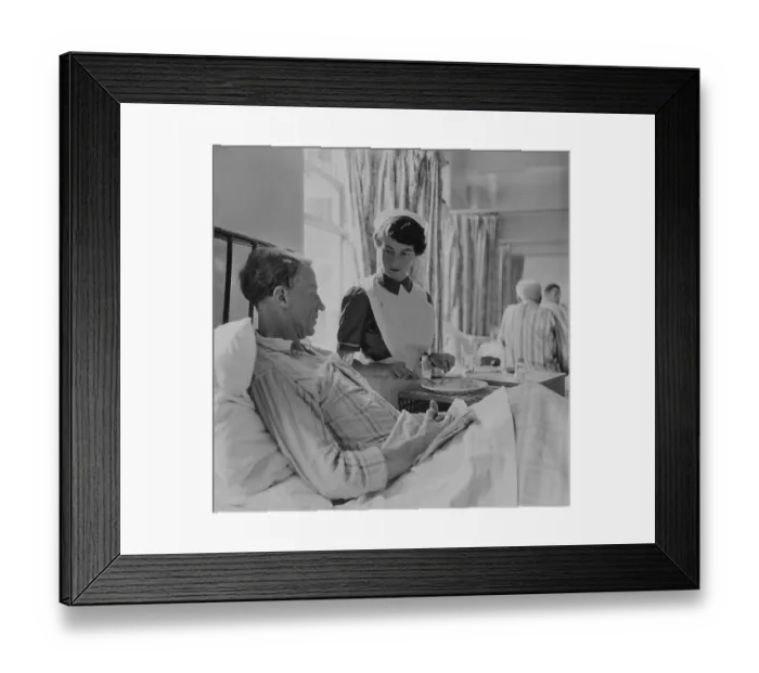 Framed Print : Feeding Time Framed Print : Feeding Time