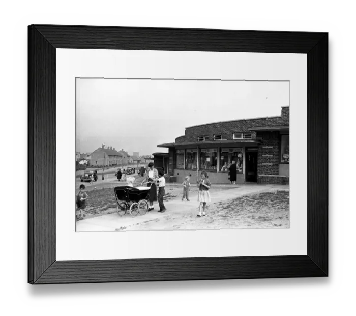 Framed Print : Family Groups Framed Print : Family Groups