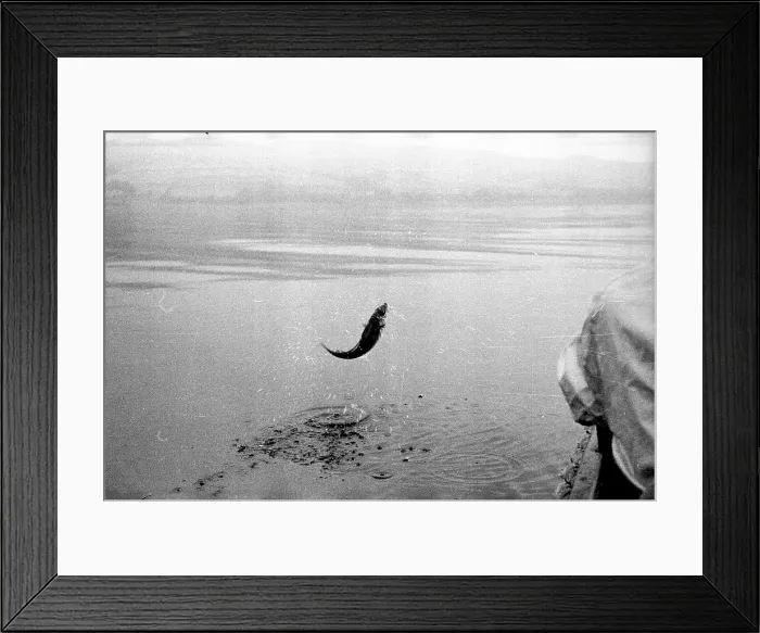 Framed Print : Fish Out Of Water Framed Print : Fish Out Of Water