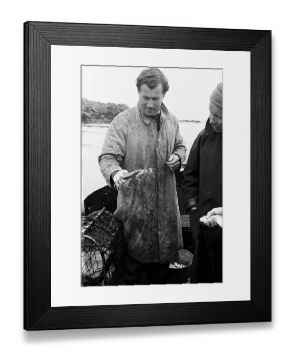 Framed Print : Crab Fishing Framed Print : Crab Fishing