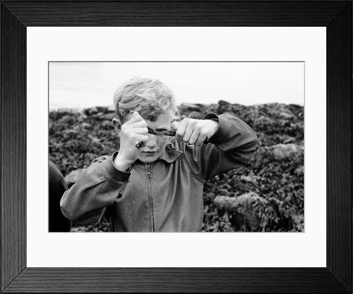 Framed Print : Fun With Fish Framed Print : Fun With Fish