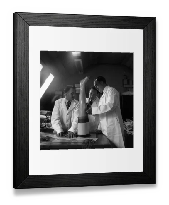 Framed Print : Leg Up. 10th September 1955: Marks and Spencer's technicians checking the Framed Print : Leg Up. 10th September 1955: Marks and Spencer's technicians checking the