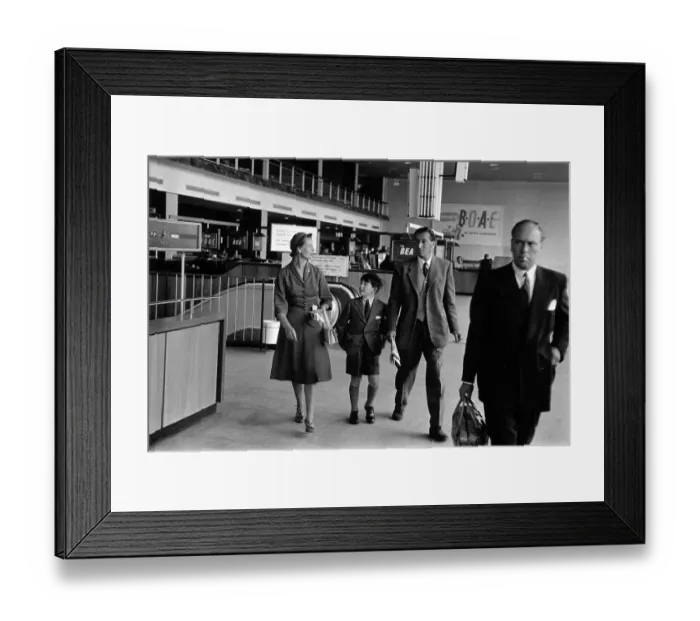 Framed Print : Airport Visitors Framed Print : Airport Visitors