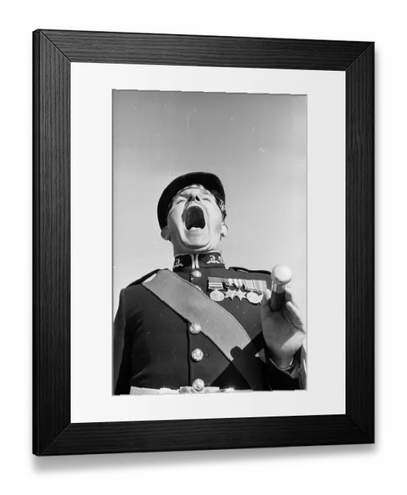 Framed Print : Attention!