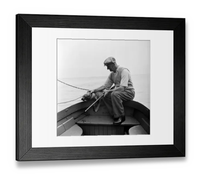 Framed Print : Seal On A Boat Framed Print : Seal On A Boat