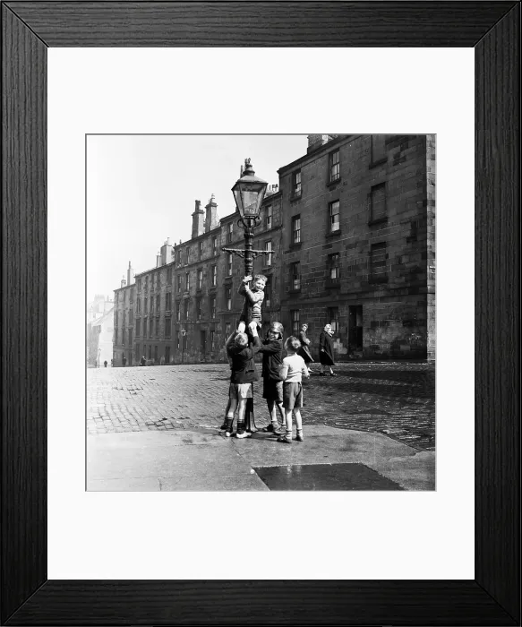 Framed Print : Up The Pole Framed Print : Up The Pole
