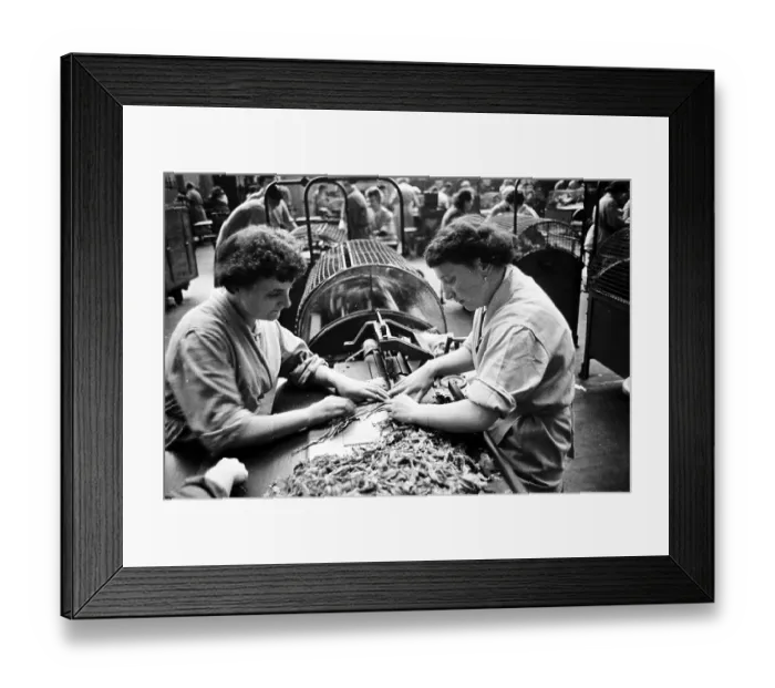 Framed Print : Shredding Tobacco Framed Print : Shredding Tobacco